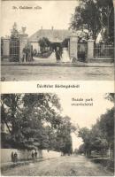 1913 Sárbogárd, Dr. Goldner villa, Huszár park utca részlettel. Freireich Adolf kiadása + &quot;BROD - BUDAPEST 32 E&quot; vasúti mozgóposta bélyegző (EB)