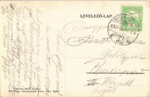 1913 Sárbogárd, Dr. Goldner villa, Huszár park utca részlettel. Freireich Adolf kiadása + "BROD...