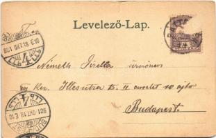 1901 Bátaszék, látkép, Fő utca, Piac, Szániel János üzlete, Kálvária, Templom tér (szakadás / tear)