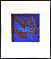 Németh János (1936-): Barna-kék formák. Szitanyomat, papír, jelzett, művészpéldány E.A. jelzéssel, 2...