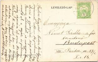 1910 Dunaharaszti, Duna fürdő, strand, fürdőzők, férfi "TITANIC" evezős csónakban. Kulikov...