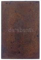 Barinka DN "Dr. Bakonyi Kálmán" kisméretű Br plakett (55x36mm) T:1-
HP 731