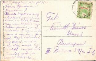 1916 Beckó, Beczkó, Beckov; Beckó vára a Vágvölgyben. Wertheim Zsigmond kiadása / Burg Beczkó. Waagt...