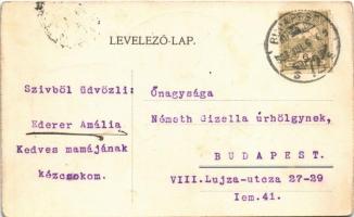 1907 Zebegény, Ferenc József gyermektelep, Erzsébet királyné gyermektelep (Balatonlelle), Gróf Telek...