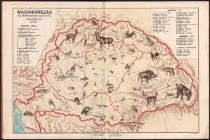 Állatföldrajzi atlasz.. Terv.: Baloghné Hajós Terézia. Bp., é. n., Kókai Lajos. Jó állapotban