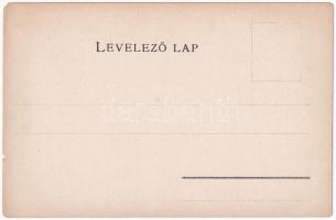 Beszterce-Naszód vármegye térképe. Kiadja Károlyi Gy. / Map of Bistrita-Nasaud county (apró szakadás...