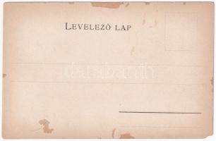 Arad vármegye térképe. Kiadja Károlyi Gy. / Map of Arad county (EM)