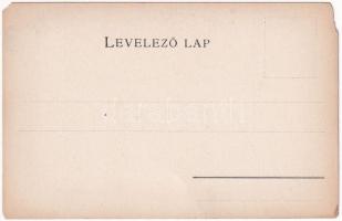 Csongrád vármegye térképe. Kiadja Károlyi Gy. / Map of Csongrád County (EM)