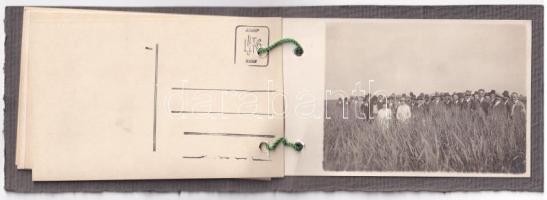 ~1930 Győr, Eszterháza Nemesítő ülés a városházán és szemle a földeken, mezőgazdasági munkálatok meg...