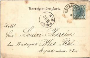 1905 Obermühl an der Donau, A. Schleife der Firma C.C. Müller / paper factory, mill (fl)