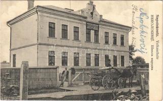 1910 Nepolokivtsi, Nepolokoutz, Nepolokiwzi; Volksschule / school, horse chariot
