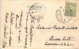 1906 Szávaszentdemeter, Mitrovice, Mitrovitz an der Save, Sremska Mitrovica; Setaliste i Srp. Dom / ...