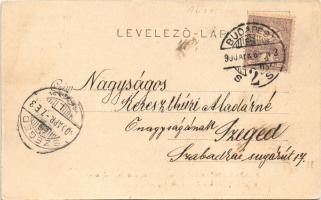 1900 Budapest II. Lipótmező, Hidegkúti út. Cs. és Kir. gyalogsági hadapród iskola, intézeti épület k...