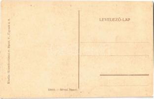 Nagyvárad, Oradea; Szent László védi Nagyváradot! irredenta képeslap szoborral / Hungarian irredenta...