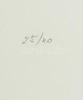 Hetey Katalin (1924-2010): Konstruktivista kompozíció. Szitanyomat, papír. Jelzett. Számozott (25/40...