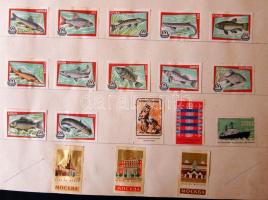 1443 db külföldi gyufacimke szépen rendezve