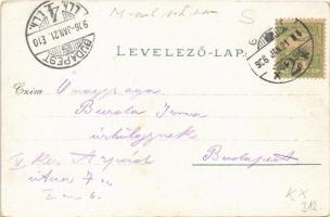 1906 Győr, Rábaszer. Berecz Viktor 9575