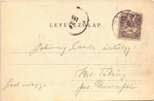 1901 Visegrád, part részlet. Divald Károly 360.(EK)