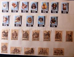 1443 db külföldi gyufacimke szépen rendezve