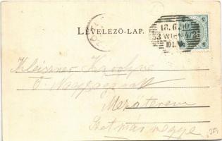 1900 Esztergom, híd