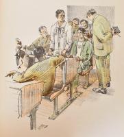 Kosztolányi Dezső: Aranysárkány. Bp., 1932, Aranysárkány. Kiadói egészvászon kötés, kissé kopottas á...