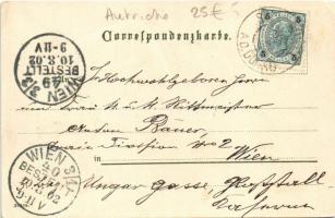 1902 Schönbühel an der Donau, Kloster und Schloss / castle and monastery. E. Nister Velten's Kü...