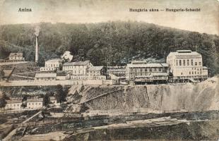 Anina