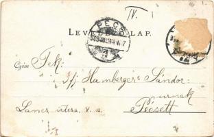1903 Budapest V. Hungária szálloda. Ludwig Frank & Co. Kunstverlag No. 555. (Rb)