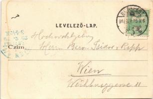 1902 Budapest XIII. Margitszigeti részlet. Erdélyi cs. és kir. udvari fényképész felvétele és kiadás...