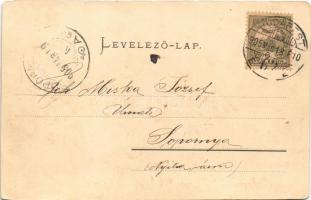 1905 Budapest XIV. Városliget, Széchenyi-sziget, csónak. Ganz Antal 29. (ázott / wet damage)