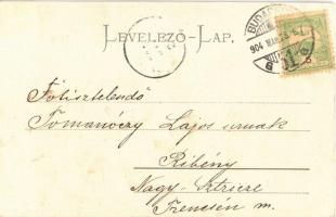 1904 Budapest V. Eötvös szobor, Magyar-Francia Biztosító Részvénytársaság (EK)