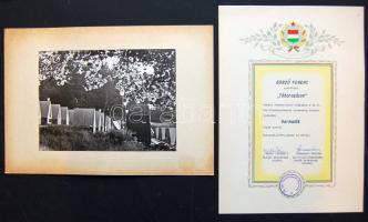 1964 Gorzó Ferenc fotópályazati oklevele és díjnyertes képe