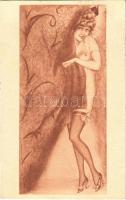 1924 Der Vorhang / Erotic nude lady art postcard s: Max Brüning