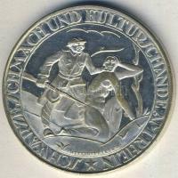 Német Birodalom/Weimari Köztársaság DN. (1920. körül) ezüstözött BR "Deutscher Not und Schmach ...