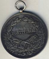 Károly Ezüst Vitézségi Érem Ag T:1