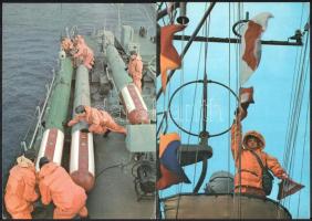 12 db színes kép az NDK hadsereg különféle alakulatairól, benne haditengerészet, tankok, stb., hátol...