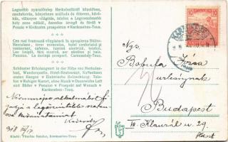 1918 Karánsebes, Caransebes; Teus üdülőtelep, Füszfás nyaraló, Csuda forrás, Teniszpálya, Temes híd....