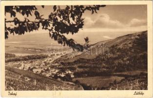 Tokaj, látkép (EK)