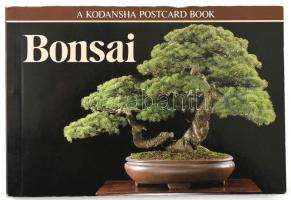 Bonsai. A Kodansha Postcard Book. Tokyo, 1994, Kodansha International Ltd. 7 p + 24 színes fotólap. Első kiadás. Angol nyelven. Kiadói papírkötés.