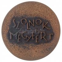 DN "Szolnok megyéért / "Hass, alkoss, gyarapíts" " Br emlékérem díszdobozban (92...