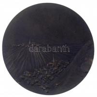 DN "Alföld" kétoldalas Br emlékérem (97mm) T:1-