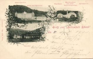 Alland Sanatoium, Hospital