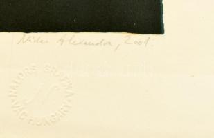 Nádas Alexandra (1974-): Korlátok és keresztek VII., 2001. Litográfia, papír, jelzett, számozott: 4/...