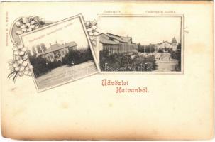Hatvan, Cukorgyári kastély és igazgatósági épület. Hoffmann M.L. kiadása, Art Nouveau, floral (szakadás / tear)