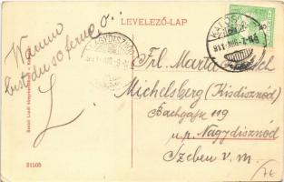 1911 Kaposvár, Erzsébet szálloda (EB)