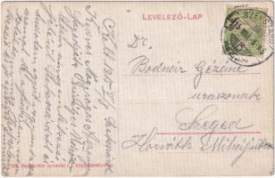 1915 Szekszárd, Izraelita templom, zsinagóga. Molnár-féle nyomdai rt. könyvkereskedés kiadása (fl)