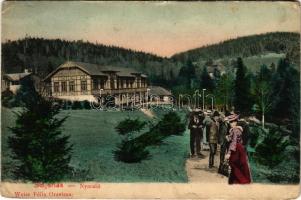 1907 Stájerlak, Steierdorf, Kirscha; nyaraló. Weisz Félix kiadása / villa (EK)