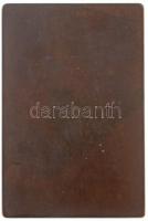 Schwartz István (1851-1924) ~1900. "Genius felemelt fáklyával vezeti a munkást" Br plakett...