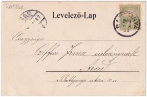 1903 Battonya, Önkéntes tűzoltók gyakorlata