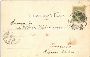 1905 Kecskemét, Városháza, Gyógyszertár (fl)